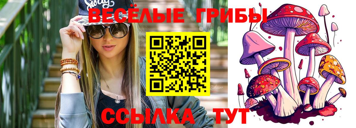 Псилоцибиновые грибы GOLDEN TEACHER  Вход с VPN  Саяногорск 
